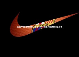 28圈中国-球场传奇，无名小卒一夜之间撼动全球篮球界