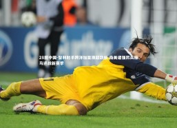 28圈中国-智利射手跨洋加盟澳超劲旅 南美诸强厉兵秣马迎战新赛季