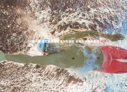 28圈中国-夏尔勒罗亚主场力克强敌 关键三分提振赛季征程