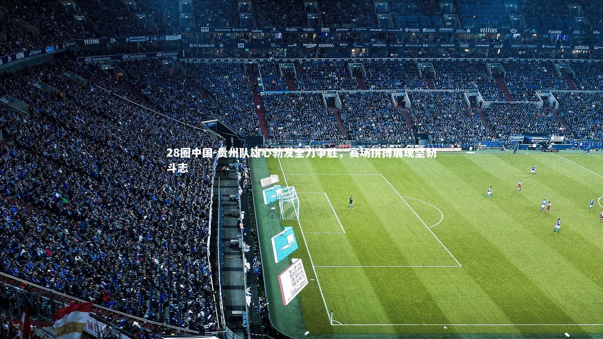 贵州队雄心勃发全力争胜，赛场拼搏展现坚韧斗志